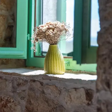 Pristinus Вилла Krstatice